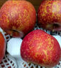2025新果正宗大凉山丑苹果冰糖心盐源红富士当季孕妇新鲜水果生鲜 9斤 【中大果】75-80mm 实拍图