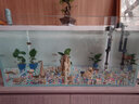 YEE鱼缸金晶超白金鱼裸缸8060家用客厅桌面小草缸龟缸玻璃生态溪流缸 【部分上楼】90*45*45cm*10mm金晶超白 实拍图