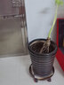 金属铁移动花盆托盘圆形万向轮加厚盆栽花架托盘带轮花盆底座滚轮 铁质紫铜色400 实拍图