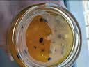 有莱客蜂蜜柚子百香果茶酱网红水果茶柠檬柚子茶果酱网红冲饮夏 金桔柠檬百香果茶 500克*1瓶 实拍图