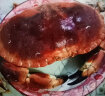 首鲜道 原装进口超大2只面包蟹鲜活熟冻螃蟹满黄大螃蟹海鲜蟹类 面包蟹 2只共2000-1600g（超大） 晒单实拍图