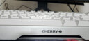 CHERRY樱桃（CHERRY）MX 3.0S TKL有线机械键盘游戏电竞电脑办公键盘无钢板结构87键 白色 无光 茶轴 实拍图