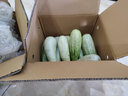 果乡三眼井【现摘现发】山东羊角蜜甜瓜头茬瓜水果整箱羊角脆净重4.3斤以上 5斤中果【个头很小不推荐】 实拍图