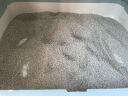 petree北去天然矿石颗粒猫砂4.2kg进口钠基矿砂膨润土除臭微尘结团快 无香型 1包 实拍图
