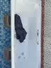 科勒（KOHLER）浴缸家用成人浴缸黛森嵌入式防滑瓷釉泡澡铸铁浴缸 K-18204T-GR（1.7m带扶手）1.7m 实拍图