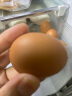 兰皇无菌蛋DHA营养型新鲜鸡蛋类可生吃食用糖溏心蛋温泉蛋送人礼盒装 10枚 实拍图