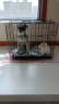 宠乐乖（CHONGLEGUAI）狗宠猫宠狗笼子中小型犬幼犬加粗加密折叠便携猫免子笼具600JC 实拍图