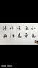 MUJI 男式 水洗 珠地网眼 POLO衫 纯棉全棉 ABE02A2S 蓝色 XL 实拍图