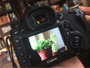 佳能5d4单反相机 Mark IV打鸟摄影器材专业级全画幅高级单反摄影像照相机 5D4 EF 24-105USM 套机标配 实拍图