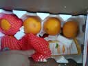 玖原农珍 福建平和琯溪红心蜜柚 新鲜现摘柚子中秋礼盒水果 现摘3-4个装优选果 实拍图