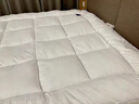 希尔顿羽绒床垫软垫床褥垫加厚hilton五星级酒店褥子学生宿舍垫子 【正品希尔顿逸林抗菌防螨】白色 1.8x2.0m【酒店加厚床垫10cm】 实拍图
