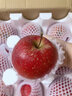 野凰现摘当季云南昭通丑苹果冰糖心苹果水果新鲜脆甜2025新苹果丑苹果 80-85mm大果 5斤净重（彩箱包装） 实拍图