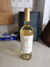 大M 长相思Sauvignon Blanc干白葡萄酒单支装750ml 智利原瓶原装进口 晒单实拍图