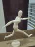 栢启歆素描木偶模型绘画速写模特工具人偶关节可动美术用手办假人体结构 素描木人偶8英寸【约20cm】 实拍图