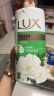 力士（LUX）沐浴露 山茶草木清香 清爽健肤 艾叶山茶香1000g 持久留香 实拍图