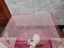 威毕兔子脚垫兔笼垫子宠物脚垫板塑料垫荷兰猪兔子脚垫防啃咬兔笼配件 特大号脚垫57*40cm（白色） 实拍图