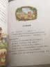 杨红樱画本·性情童话：亲爱的笨笨猪、没有尾巴的狼等（套装共6册） 实拍图