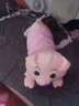 眼含泪光小猪猪玩偶毛绒玩具女孩布娃娃公仔儿童陪睡觉抱枕生日礼物女生友 可爱猪（刚好遇见你） 75cm 实拍图