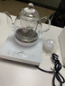 新功（SEKO）玻璃杯透明茶杯迷你小茶杯带把耐热高硼硅玻璃杯花茶杯飘逸杯808 玻璃杯1个 实拍图