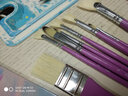 蒙玛特水粉笔画笔套装油画笔丙烯水彩颜料扇形勾线笔梦境 V BMHS1012 实拍图