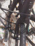 SAVA萨瓦超轻碳纤维折叠自行车喜玛诺变速油刹代驾城市通勤20寸折叠车 9速黑蓝色 实拍图