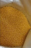 十月稻田 山西黄小米 溯源 2.5kg（五谷杂粮 山西特产 吃的小米粥 真空包装） 实拍图