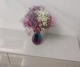 爱满（AIMAN）满天星天然干花花束ins网红生日 新房装饰摆件风干真插花家居摆设 紫+白+宝蓝满天星  【带M款花瓶】 实拍图