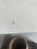 云峰海瑞黑壳虾清洁虾观赏虾 鱼缸水族箱水草缸清洁除藻淡水 酒红水晶虾（稀有品种）2只 实拍图