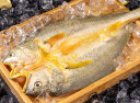 三都港冷冻醇香黄鱼鲞500g 黄花鱼 海鲜水产 生鲜鱼类 海鱼 烧烤食材 实拍图