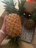 鲜武士海南凤梨金钻凤梨大果菠萝手撕无眼脆甜新鲜热带水果 金钻凤梨大果9斤装 实拍图