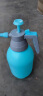 芷郁 喷壶浇花家用园艺植物气压式喷雾瓶器小型浇水壶压力洒水壶喷水壶 2L松绿色 实拍图