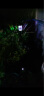 倍绿 太阳能草坪灯户外庭院灯防水景观家用led装饰灯地插灯花园氛围灯 双环草坪灯 暖白+彩色（单只装） 实拍图