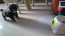 华元宠具（hoopet）狗狗玩具网球发射器自动抛球弹力球逗狗神器宠物训狗神器自嗨解闷 afp迷你网球机 实拍图