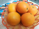 赣南脐橙江西甜橙子新鲜现摘水果精品大果礼盒送礼京东快递产地发 20斤精品果（90-95mm） 实拍图