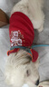 憨憨宠 狗狗衣服 猫衣服宠物衣服变身装猫咪衣服中小型犬幼犬秋冬服装 小舞狮款 L号建议体重7-10斤 实拍图
