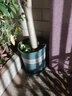 憶芗  环球加仑树脂塑料花盆带托盘 室内阳台盆栽月季君子兰花盘大号 7加仑不含拖 大 实拍图
