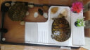 阔庭乌龟缸生态缸宠物饲养箱透明爬宠专用黑色款 实拍图