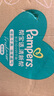 帮宝适（Pampers）清新帮 成长裤 拉拉裤 学步裤 小内裤裤型尿不湿 加加加大号XXXL64片 实拍图