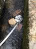 科麦斯 直流潜水泵12V高扬程家用电瓶车抽水泵大功率小型农用灌溉抽水机 高扬程48/60V-7米线10米水管 实拍图
