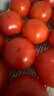 绿行者（GREER）小粉番茄5斤 源头直发水果沙瓤生吃西红柿新鲜蔬菜轻食酸甜多汁 实拍图