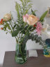 墨斗鱼玻璃花瓶北欧轻奢桌面摆件创意水培植物富贵竹植物百合插花器0425 实拍图
