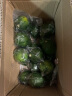 马保果海南青柠檬应季新鲜青柠薄皮绿肉柑绿鲜柠檬 2000g 实拍图