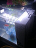 长锐侧滤鱼缸桌面办公室免换水生态水草超白水族箱 K260造景版【长27 宽21 高30】 实拍图