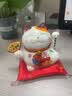 板谷山招财猫摆件小号陶瓷储蓄罐存钱罐日本创意店铺开业礼品家居粉色装 实拍图