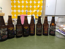 迷失海岸美国进口精酿啤酒快艇双倍IPA幽灵浑浊花生酱牛奶巧克力世涛 IPA口味 355mL 6瓶 组合装 实拍图