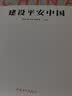 问道强国之路丛书：建设平安中国 问道社会主义现代化国家建设之路，擘画中国式现代化新道路的宏伟蓝图和光明前景 实拍图