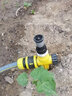 汉轩自动洒水器360度草坪喷头绿化园林菜地灌溉浇花降温喷水浇水神器 散射喷头串联套装 4分 实拍图