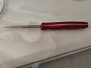 邓家刀不锈钢多功能锋利水果刀刀具家用削皮刀小刀厨房木柄刀瓜果刀厨师 实拍图