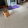 ACEBON 卫生间地垫浴室吸水门垫门口进门速干脚垫厕所防滑洗手间垫子 紫色 60cm 90cm* 实拍图