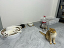 KING魔方 猫咪驱虫药3支装 宠物猫外用驱虫滴剂幼猫除虫跳蚤寄生虫打虫药贝乐清（8周龄以上） 实拍图